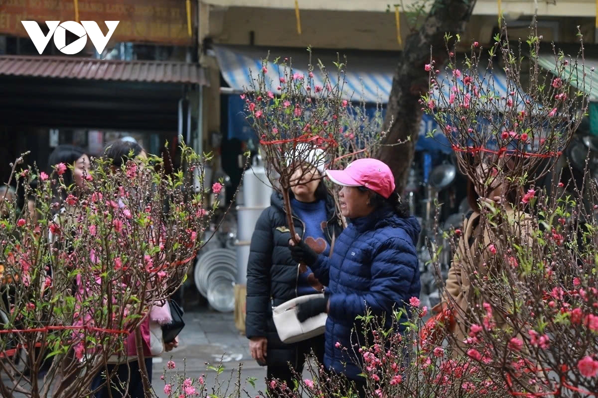 New cold spell to hit Vietnam on Jan. 30. chilly conditions expected